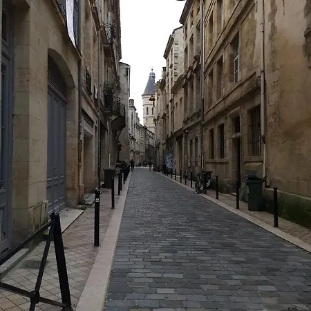 Lovely Dowtown Lejlighed *